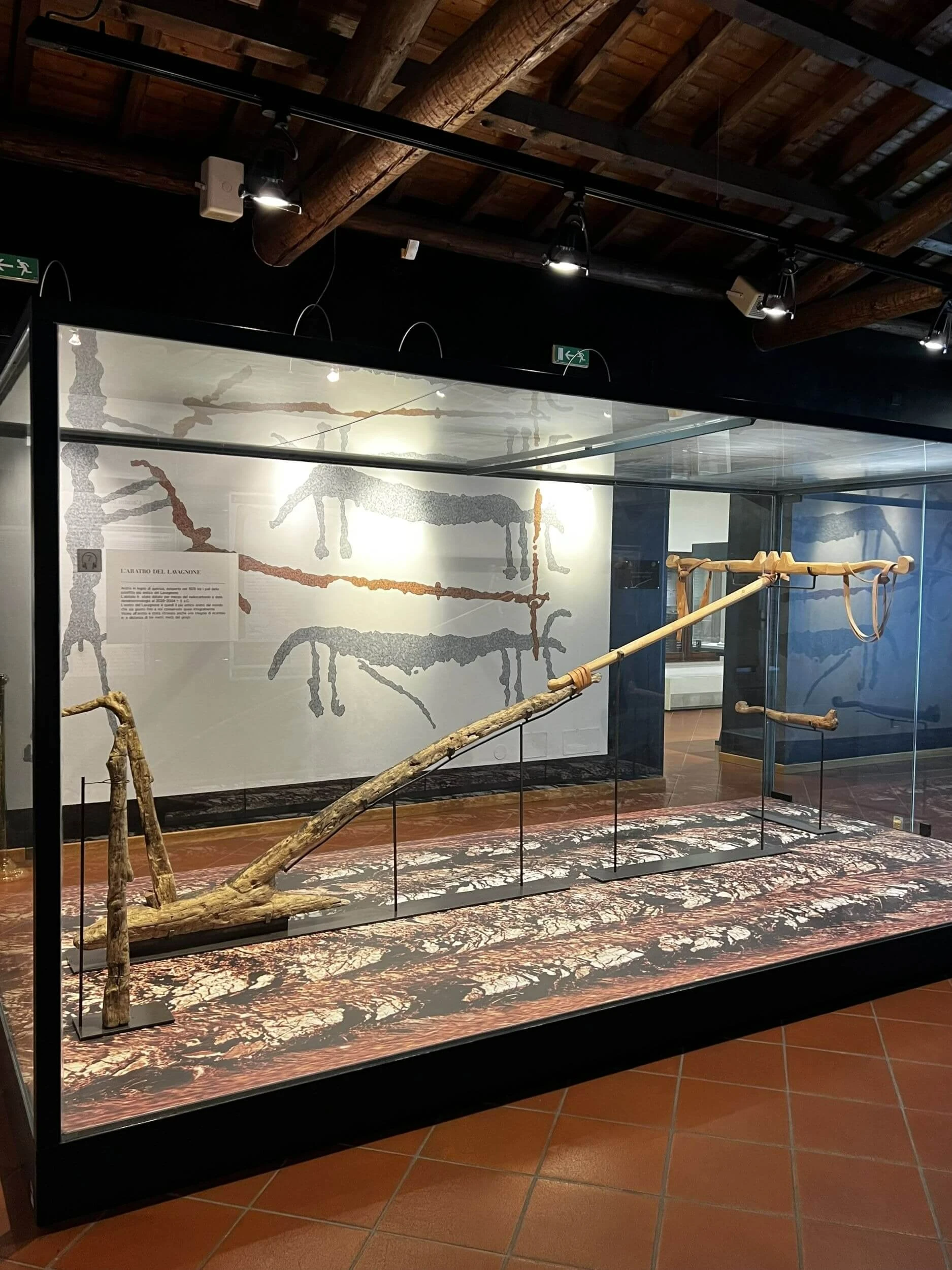 aratro del lavagnone museo rambotti desenzano
