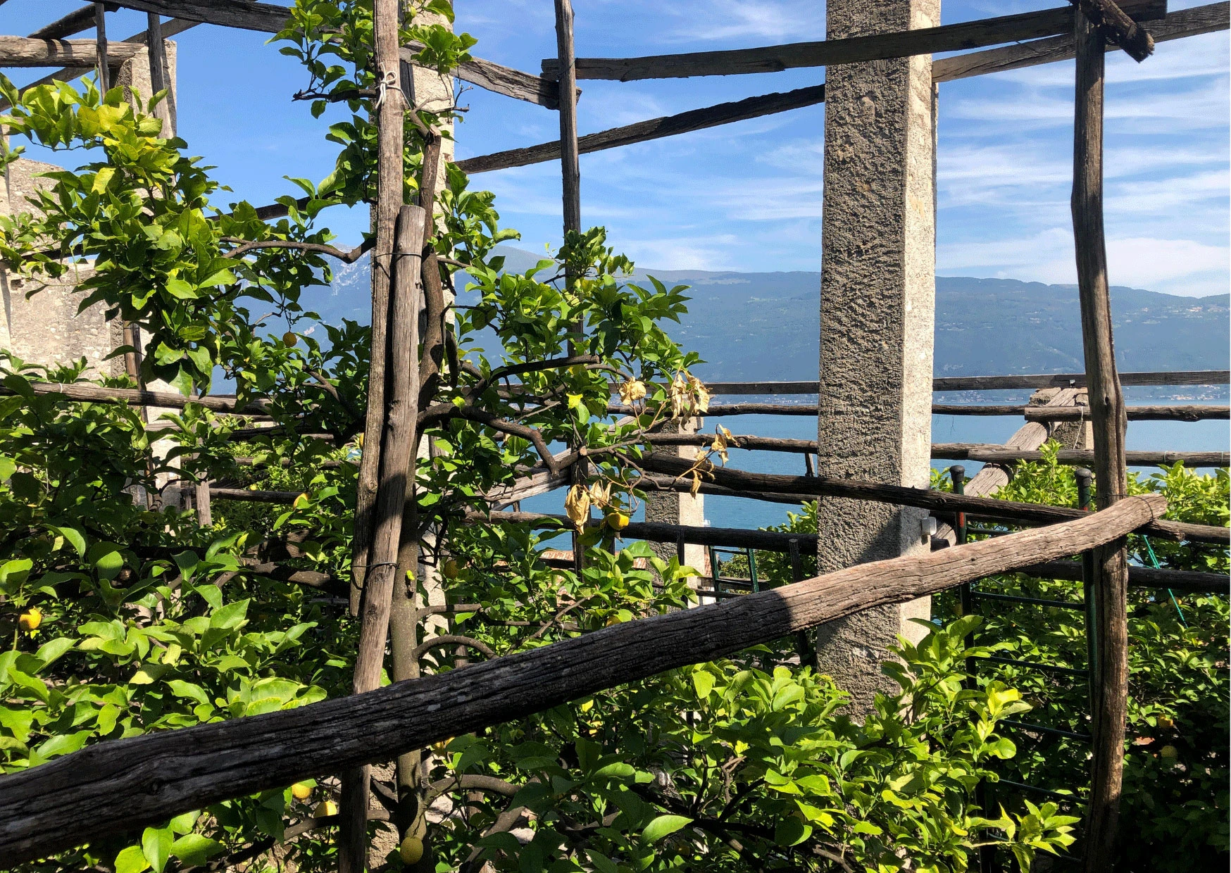 limonaia lago di garda