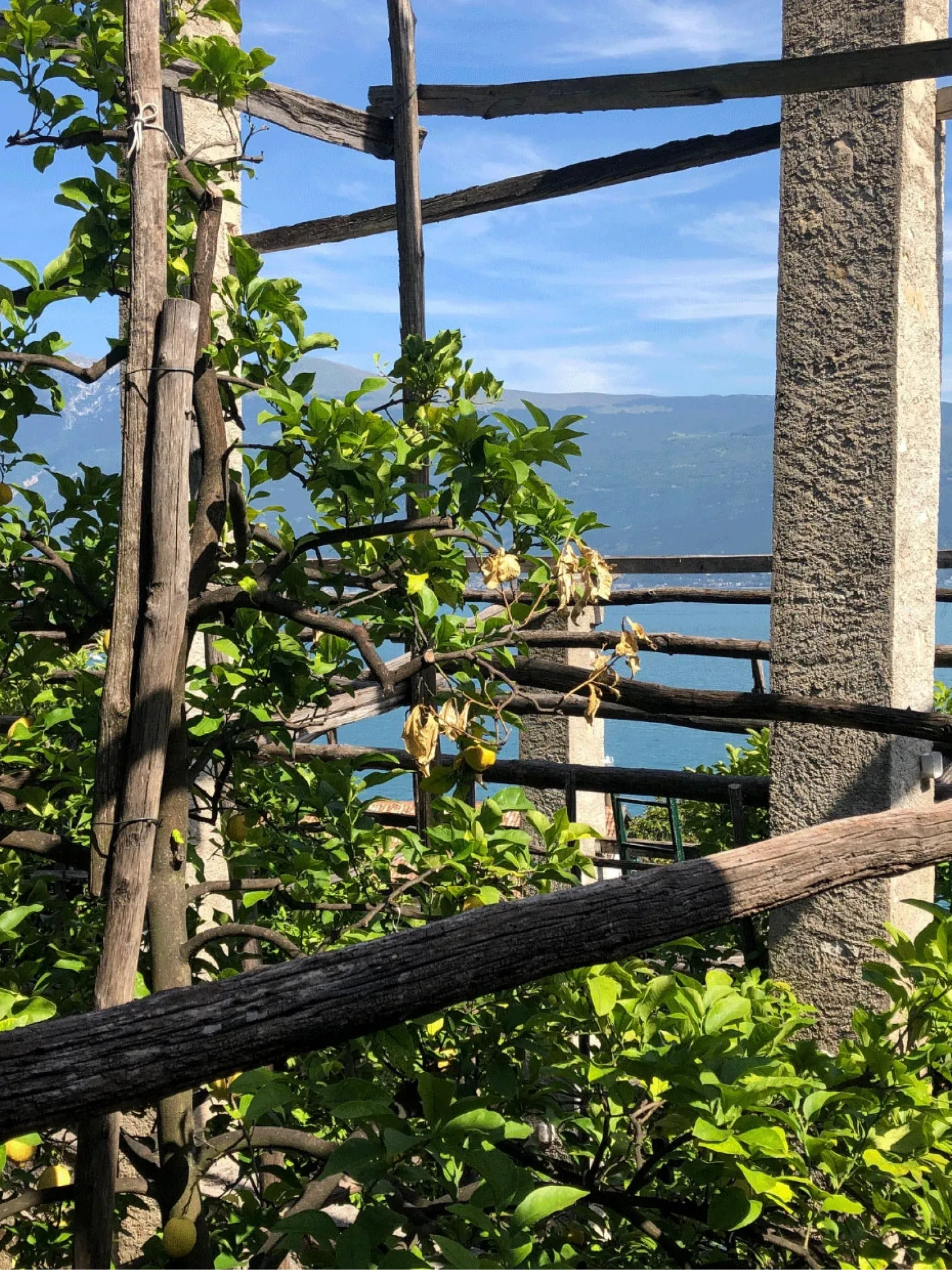 limonaia vista lago di garda