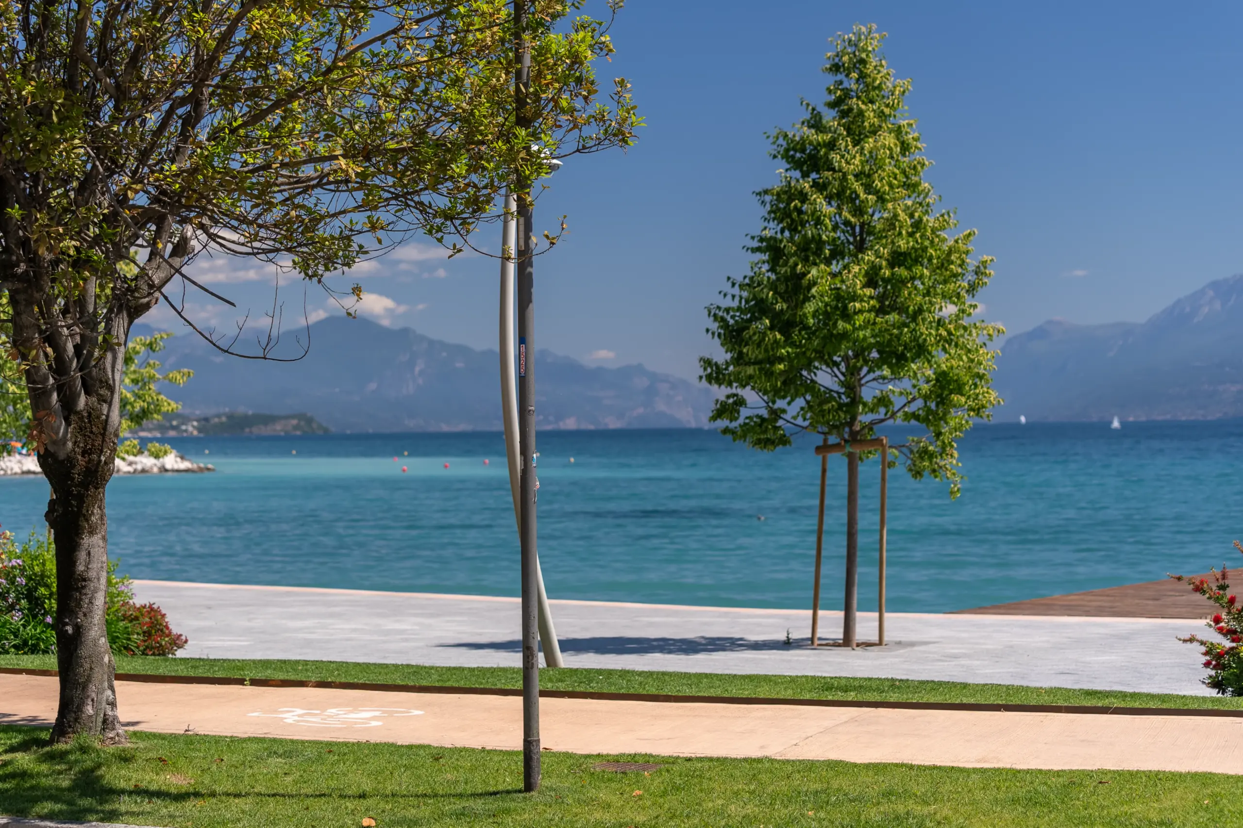 lungolago alberi lago di garda desenzano