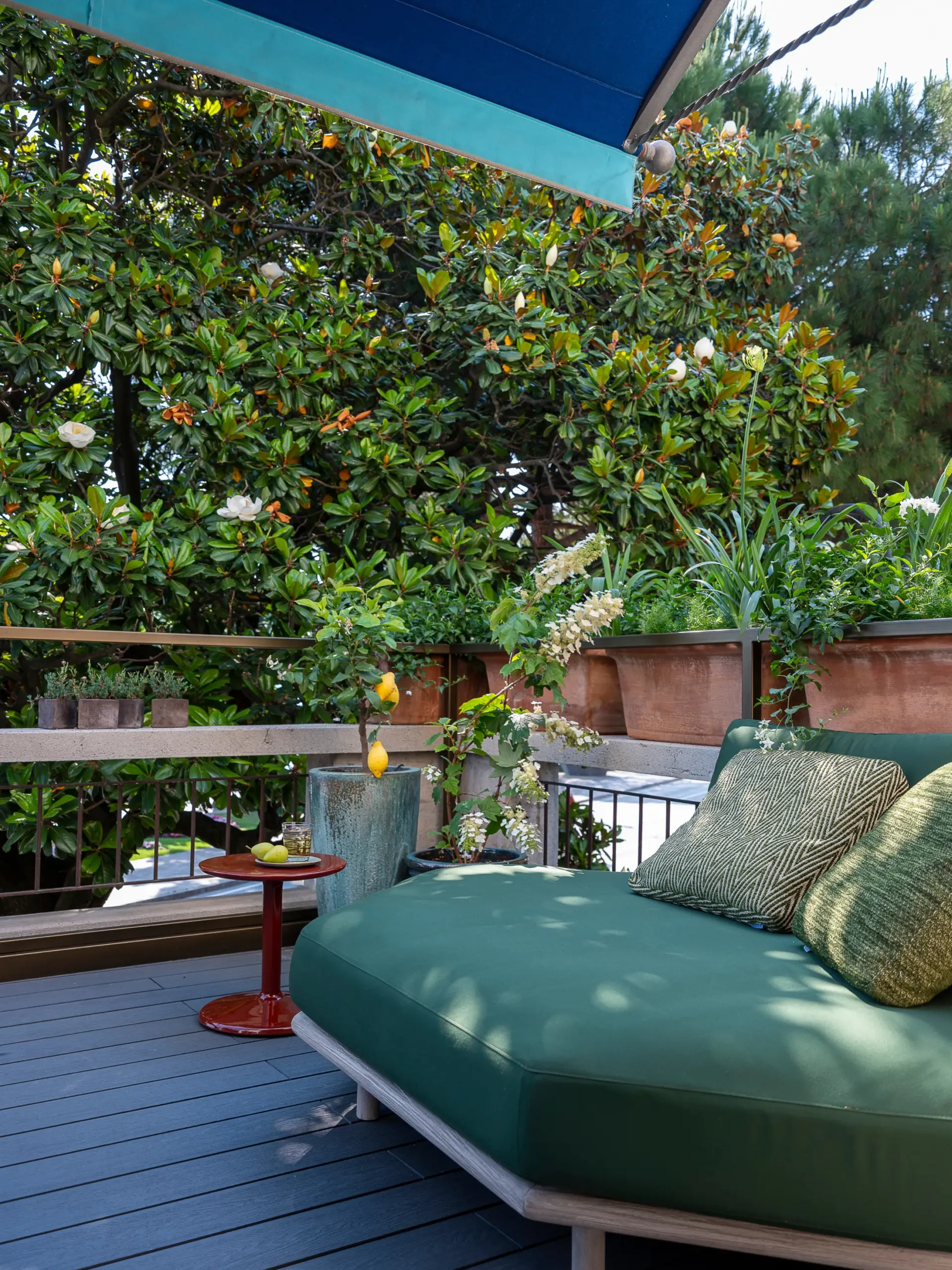 Panorama Junior Suite Terrasse